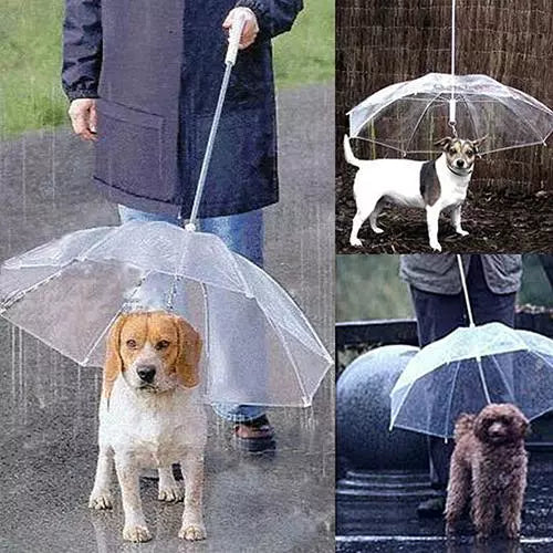 Dog Walking Waterproof Clear Cover Built-in Leash Rain Umbrella